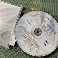 Saxon,Bonfire,MSG, снимка 11 - CD дискове - 44622476
