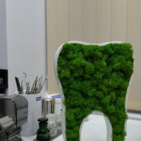 Подарък - За зъболекар и зъботехник - зъб със скандинавски мъх, снимка 3 - Други - 40661965