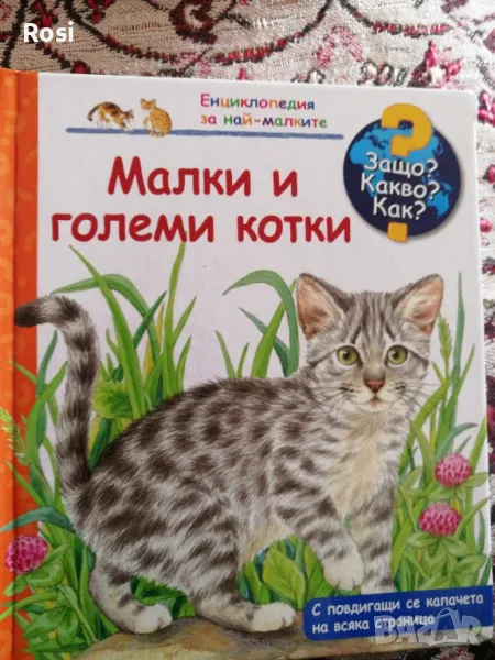 Малки и големи котки, снимка 1