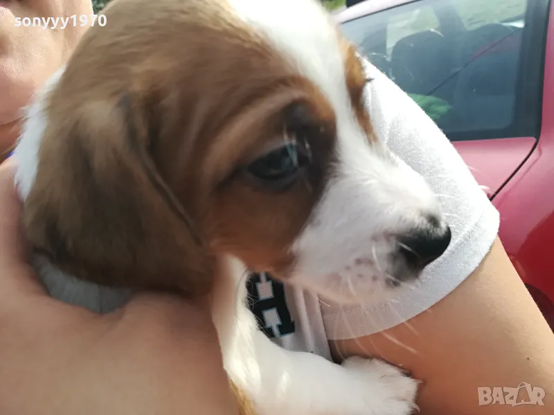 ДЖАКО ОТ ВИДИН СИ ТЪРСИ ЖЕНСКА 1904242037, снимка 1