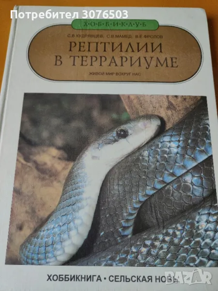 Влечугите е терариума, снимка 1