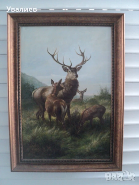 Картини на животни - репродукции, снимка 1