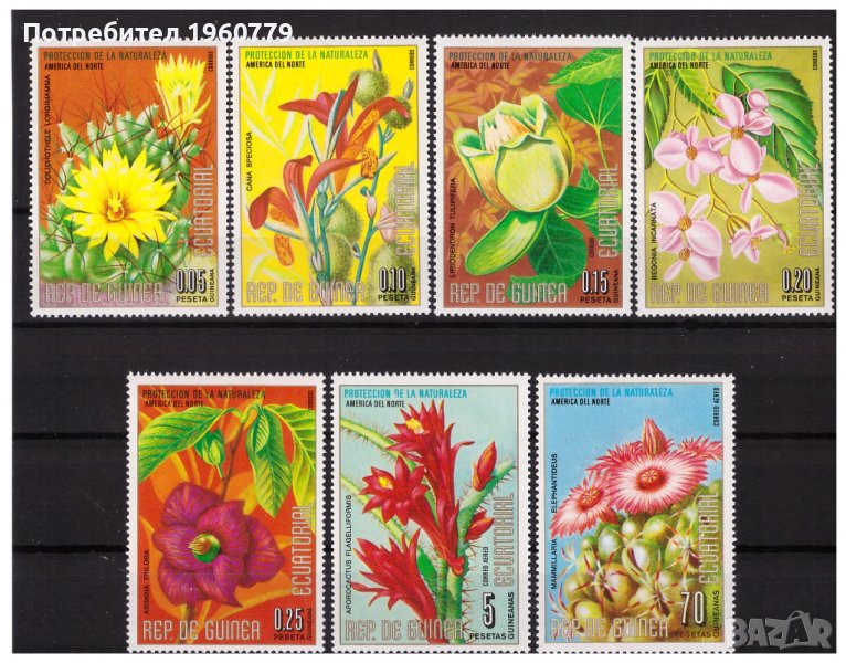 ЕКВАТОРИАЛНА ГВИНЕЯ 1974  Цветя от Сев.Америка чиста серия, снимка 1
