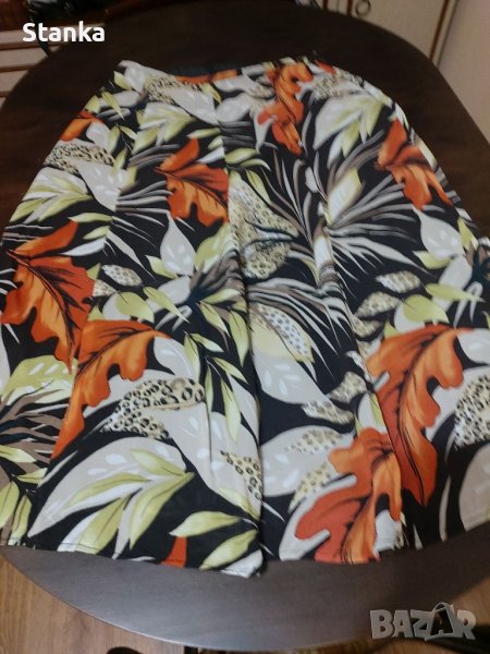 Поли, снимка 1