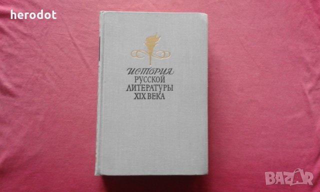 История русской литературы XIX века С. Петров, снимка 1 - Художествена литература - 34250224