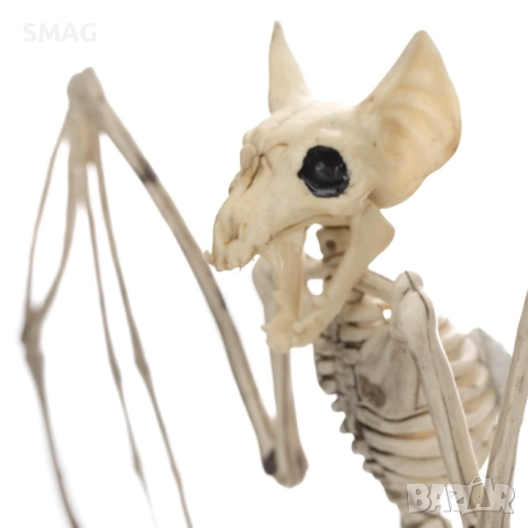 Halloween / Хелоуин реалистичен скелет на прилеп – лепяща декорация_1207605, снимка 4 - Декорация за дома - 52008627