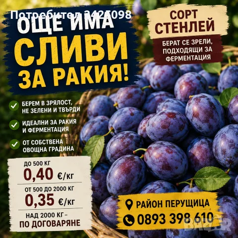 Сливи за ферментация/ракия/