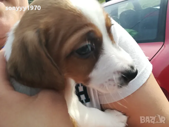 ДЖАКО ОТ ВИДИН СИ ТЪРСИ ЖЕНСКА 1904242037