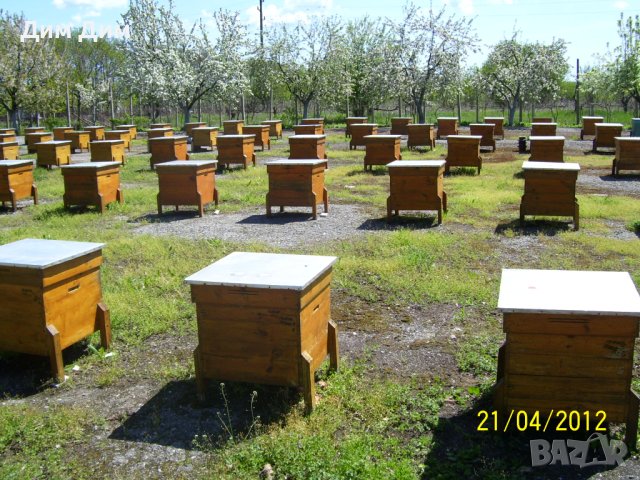 Кошери за пчели, с и без магазини, снимка 2 - За пчели - 40604358