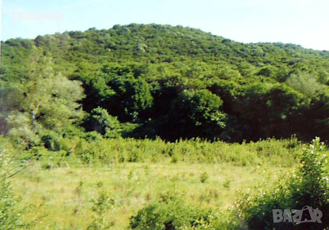 Имот на река Батова,подходящ за хижа с водоем,ваканционно селище,частно имение,рибарници., снимка 5 - Земеделска земя - 41911700