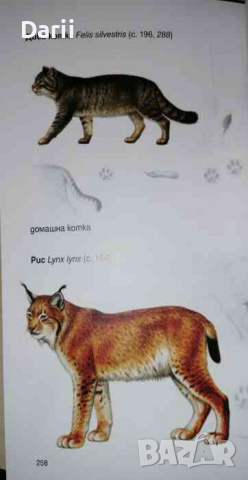 Бозайниците в България, снимка 3 - Българска литература - 36284095