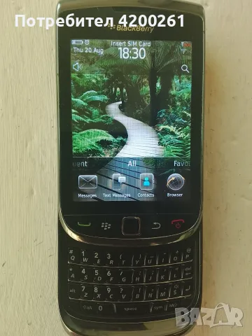 Blackberry 9800 слайд, снимка 2 - Blackberry - 55741751