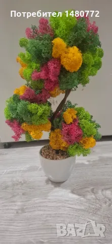 Бонсай със скандинавски мъх в саксийка, снимка 12 - Декорация за дома - 48125215