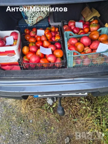 Продавам вкусни домати, снимка 2 - Домашни продукти - 55884872