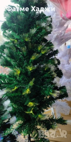 Коледна елха