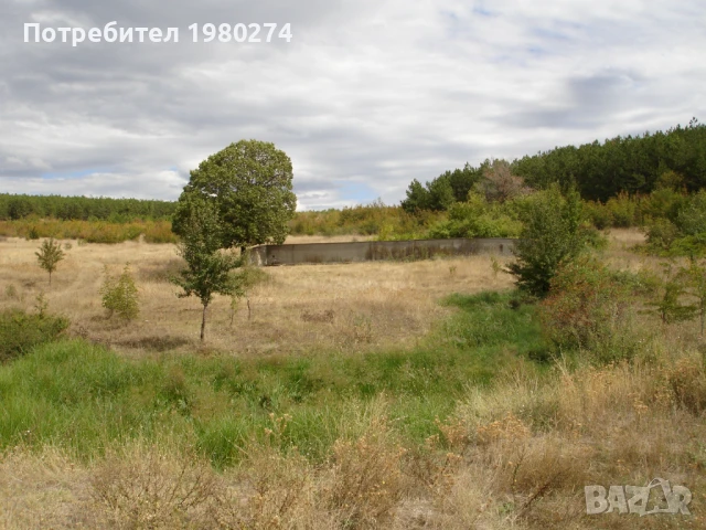 Земеделска земя 10,5 декара, 9 категория, снимка 10 - Земеделска земя - 50714759