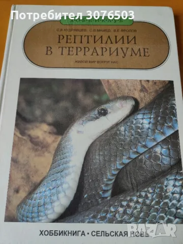 Влечугите е терариума