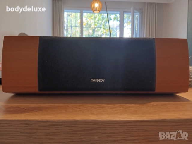 TANNOY двулентов център , снимка 2 - Тонколони - 51887684