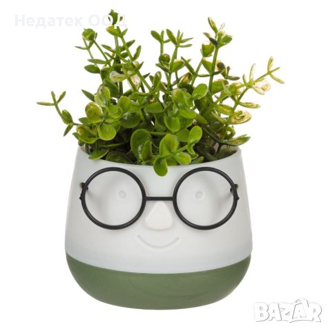 Саксия лице с очила и изкуствено растение,  9,5x9,5x14 см,  Екрю/ зелено