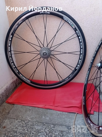 Шосейни Капли