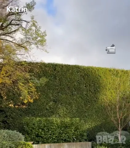 Озеленяване/ Поддръжка , снимка 7 - Други услуги - 48863308