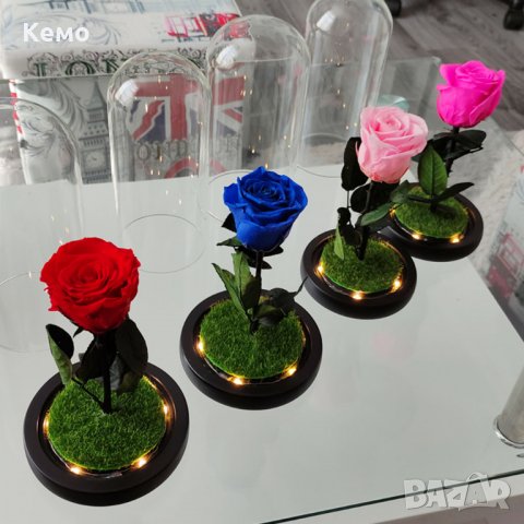 Вечна естествена роза в стъкленица, снимка 2 - Декорация за дома - 27657211