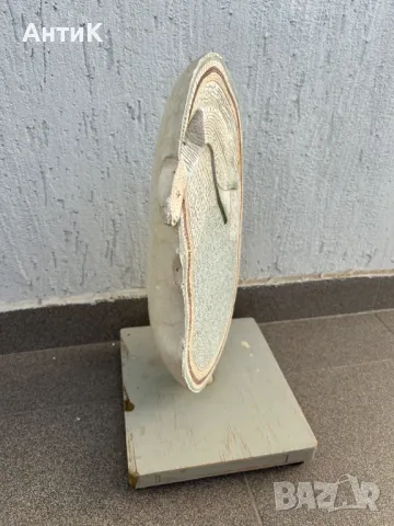 Соц Учебен Макет Модел Биология Учтехпром, снимка 2 - Антикварни и старинни предмети - 47947337