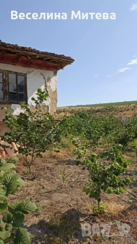 къща с градина, снимка 3 - Къщи - 51079570