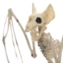 Halloween / Хелоуин реалистичен скелет на прилеп – лепяща декорация_1207605, снимка 4