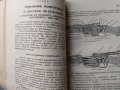 Учебникъ за младия войникъ отъ девизионната, конната и товарната артилерия 1942г., снимка 16
