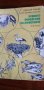 Чудното поведение на животните  - Николай Йовчев, Константин Старчев, снимка 1 - Художествена литература - 41913378