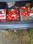 Продавам вкусни домати, снимка 2