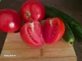 Димати-обли, рома, розов, снимка 1