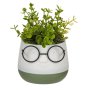 Саксия лице с очила и изкуствено растение,  9,5x9,5x14 см,  Екрю/ зелено, снимка 1 - Изкуствени цветя - 41529381