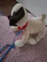 Интерактивно кученце мопс Peppy Pets – Без забележки!, снимка 2