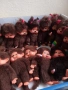 💖Оригинални японски кукли Monchhichi Sekiguchi Мончичи маймунки, снимка 9