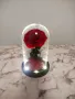  Вечна роза в стъкленица - неувяхваща балсамирана, снимка 9