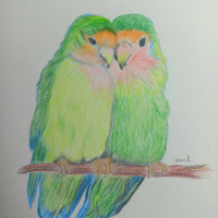 Влюбени папагали - картина с моливи, снимка 1 - Картини - 44666396