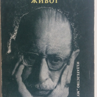 Хроника на моя живот Игор Стравински, снимка 1 - Художествена литература - 36114432