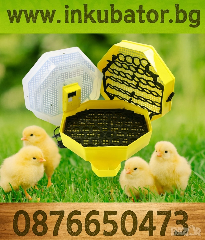 Инкубатори за люпене на пилета, снимка 1