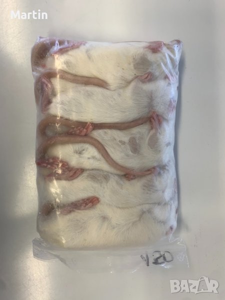 Замразени мишки, плъхове, брашнен червей, дубия,морио, снимка 1