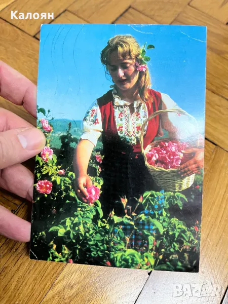 Пощенска картичка Розоберачка - използвана , снимка 1