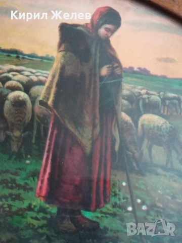 Картина на овчарка 53683, снимка 3 - Картини - 53390595