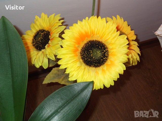 Fujifilm Finepix T350  14 MPx, снимка 10 - Фотоапарати - 53662722