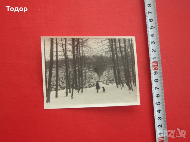 Стара снимка ловец 3 Райх Оригинал, снимка 2 - Колекции - 36067691