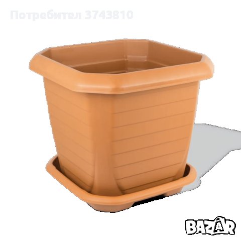 САКСИЯ С ПОДЛОЖКА KARE 72Л