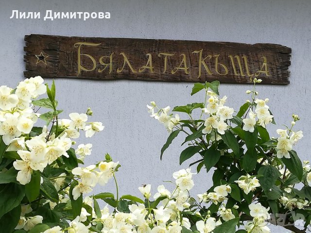 24-28 юли "Бялата къща", село Мийковци, Еленски балкан, снимка 13 - Селски туризъм и култура - 11840121