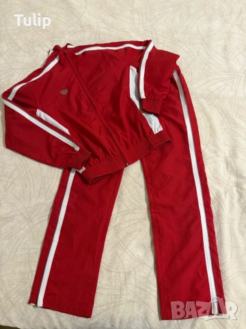 Анцунг Arena 12-13 г.