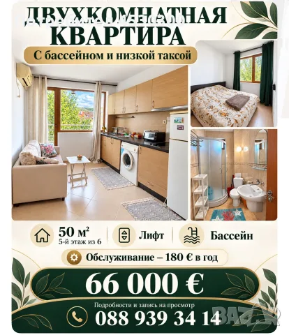 2 стаен Солнечный брях 
