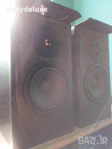 JBL LX 300 двулентови тонколони, снимка 5 - Тонколони - 36266312